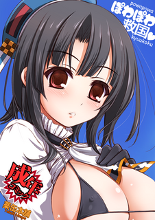 ぽわぽわ救国表紙